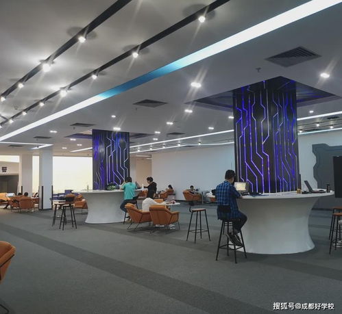成實外國際部與電子科大大數據研究中心攜手共建前沿科技探索環境