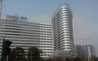 浙江發布民營經濟“體檢單” 電子技術開發與銷售領域的活力與挑戰